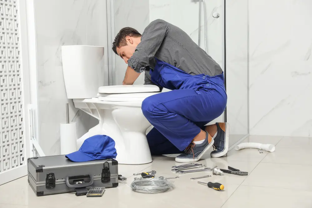 Toilet Repair in Rafael Pena